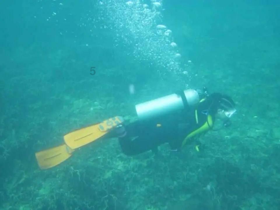 方程式飙车