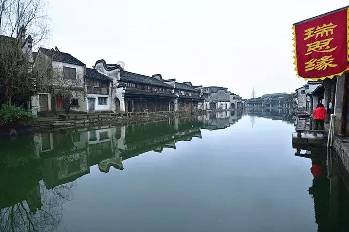 救援达尔马提亚狗
